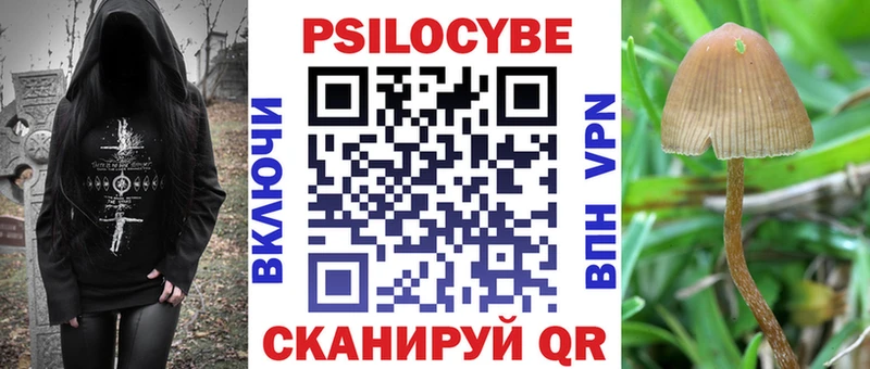Псилоцибиновые грибы GOLDEN TEACHER  продажа наркотиков  Избербаш 